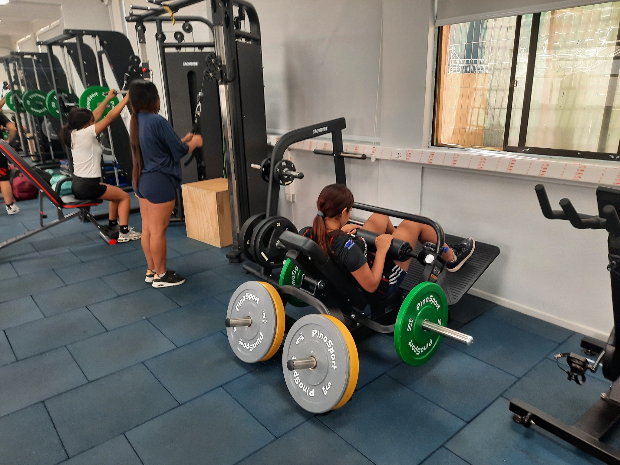 Experiencia de la Academia de Gimnasio