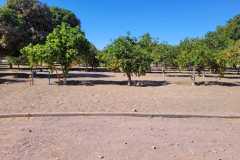 Imagen-de-WhatsApp-2023-09-01-a-las-13.12.38