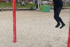 dbda0845-43c0-411d-806b-6a5fb03ef7dc