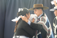 DSCN8823