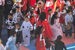 WhatsApp-Image-2026-04-28-at-10.08.30-1