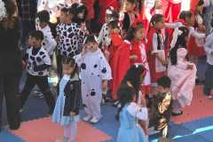 WhatsApp-Image-2026-04-28-at-10.08.31-1