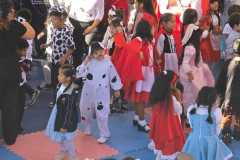 WhatsApp-Image-2026-04-28-at-10.08.31-2