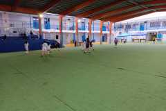 e8565613-0d33-4749-8ec6-c8394fc0d985