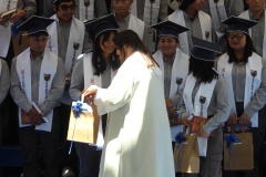 DSCN0971