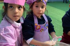 06dffde6-ccea-40d5-b979-d296a1770a1a