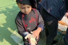 4e12ad04-9b60-42db-baea-916d2c846497