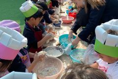 7f6488e1-4a44-4b59-9d8a-3d38c6a5530a-1