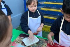 c68c931c-3599-4d0c-9d3d-1b3edb396462