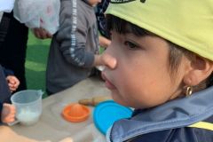 d1bf5427-c4ff-40d5-bbba-2a482ed8832d