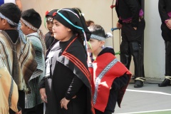DSCN7487
