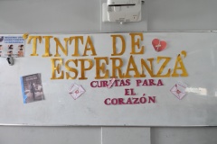 DSCN7531
