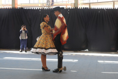 DSCN0593