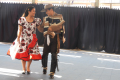 DSCN0853