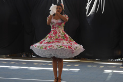 DSCN0954