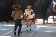 DSCN1146