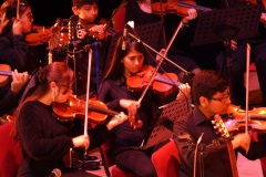 DSCN4442