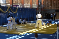 DSCN0345