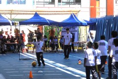 DSCN0384