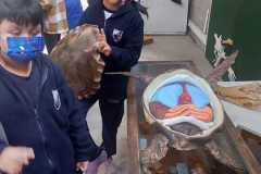 03434385-eacf-42a2-b2fa-7ad3406c495d