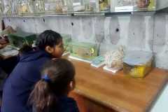 1829b3f6-25b9-498b-aaa6-fbe402f08875