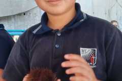 186872a4-2df7-43d1-b4ee-128e623acd1e