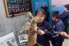 3f62fcc0-d688-4174-813c-046efc17deb9