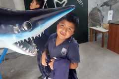 4899fdee-38d8-4d24-b282-e021f975d1a3