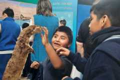 4d37d402-0156-464a-aed5-55ddb3fccb54