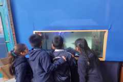 54c330e5-1cb9-4b0a-82a7-46cedc34f9db