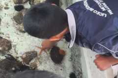 56080fdf-d0d5-4235-959d-ebdabd35c239