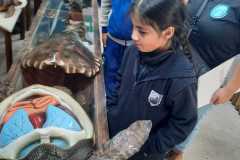 6ba67c17-6074-48e2-97cb-1cea11fee051