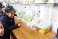 6ee4cd28-994d-4ce2-9d7f-f8fb52ed9b36