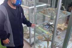 c44d28b8-6356-4e9e-8d71-71cf99c94f0e