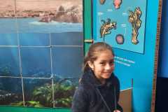 e861d6e2-fae2-4cde-9a88-7b8af0e981be