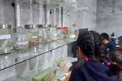 eef5d0e4-3022-4715-9a51-b56933fa84e5